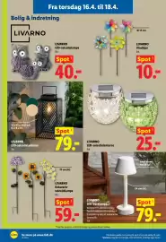 Lidl tilbudsavis Side 33