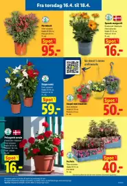 Lidl tilbudsavis Side 7