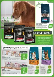 Catalogue Point Vert page 15