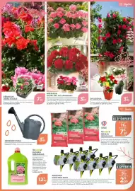 Catalogue Point Vert page 2