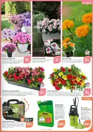 Catalogue Point Vert page 3