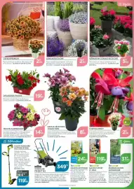 Catalogue Point Vert page 4