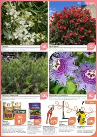 Catalogue Point Vert page 5