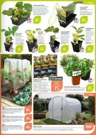 Catalogue Point Vert page 7