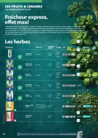 Catalogue METRO page 44