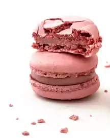 Catálogo Vasalissa Página 1