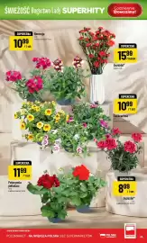 Polomarket gazetka tydzień 16 Strona 45