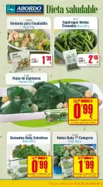 Folleto Abordo Página 2