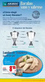 Folleto Abordo Página 4