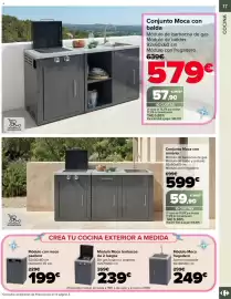 Folleto Carrefour | Jardin Página 17