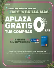 Folleto Carrefour | Jardin Página 2