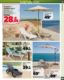 Folleto Carrefour | Jardin Página 25