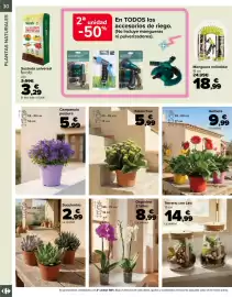 Folleto Carrefour | Jardin Página 30