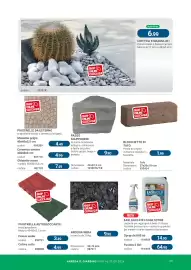 Volantino Cfadda | Giardino Pagina 29