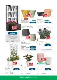 Volantino Cfadda | Giardino Pagina 31