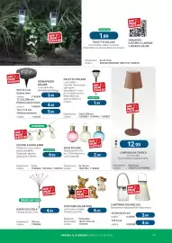 Volantino Cfadda | Giardino Pagina 33