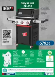 Volantino Cfadda | Giardino Pagina 40