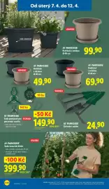 Lidl leták Strana 10