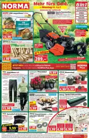 Norma DE folder week 17 Pagina 1