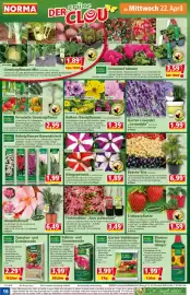 Norma DE folder week 17 Pagina 16