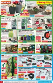 Norma DE folder week 17 Pagina 2