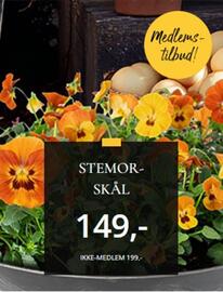 Floriss kundeavis uke 16 Side 4