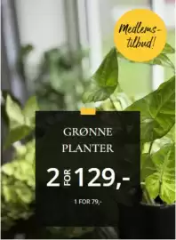 Floriss kundeavis uke 16 Side 1