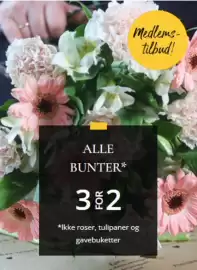 Floriss kundeavis uke 16 Side 2