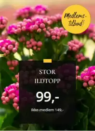 Floriss kundeavis uke 16 Side 3