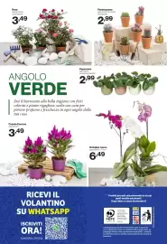 Volantino In'S Mercato Pagina 24