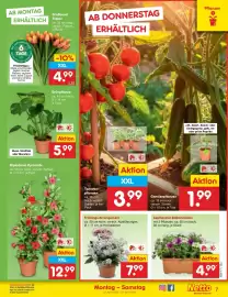 Netto Marken-Discount Prospekt woche 17 Seite 9
