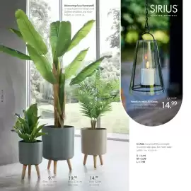 Zurbrüggen Prospekt Seite 4