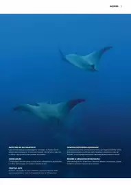 Folheto Abreu Página 13