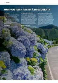 Folheto Abreu Página 6