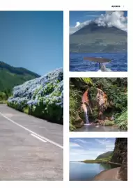 Folheto Abreu Página 7