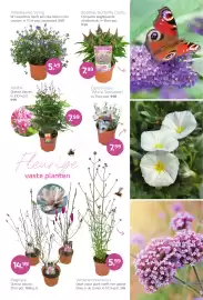 Coppelmans folder Pagina 3