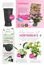 Coppelmans folder Pagina 6