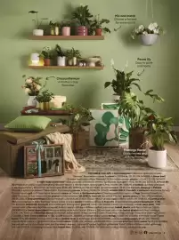 Bunnings catalogue Page 3