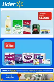 Catálogo Lider semana 16 Página 1