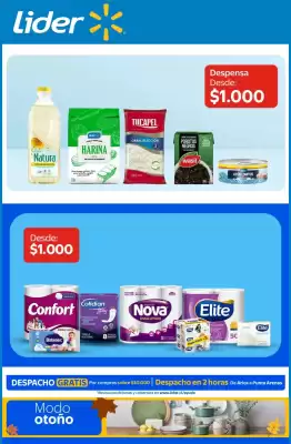 Lider (válido hasta 21-04)