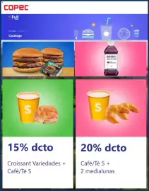 Catálogo Copec Página 3