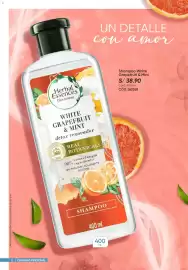 Catálogo Azzorti Página 12