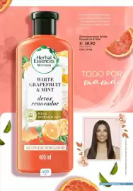 Catálogo Azzorti Página 13