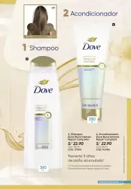 Catálogo Azzorti Página 19