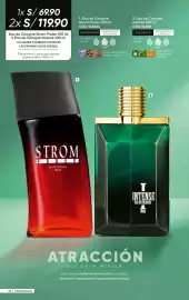 Catálogo Azzorti Página 100