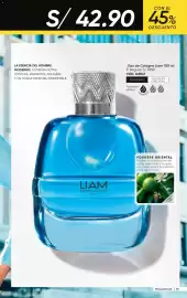 Catálogo Azzorti Página 97