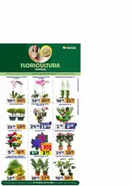 Catálogo Supermercados Avenida Página 13