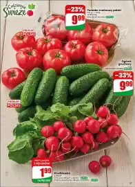 Dino gazetka tydzień 16 Strona 37