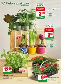 Dino gazetka tydzień 16 Strona 55