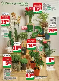 Dino gazetka tydzień 16 Strona 56